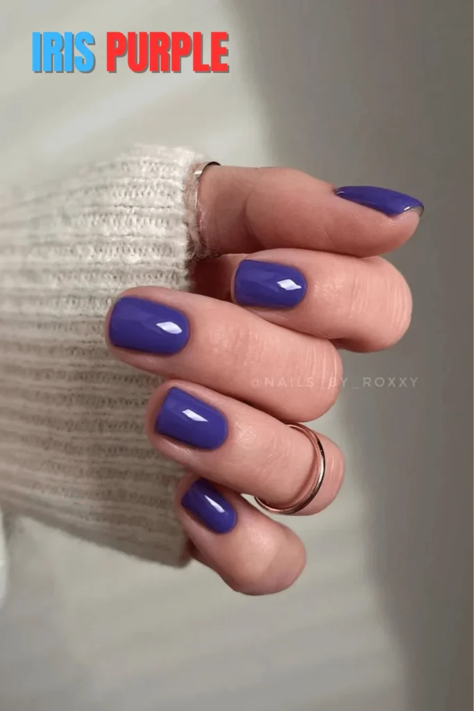 Purple Nail Ideas